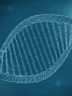 DNA model 