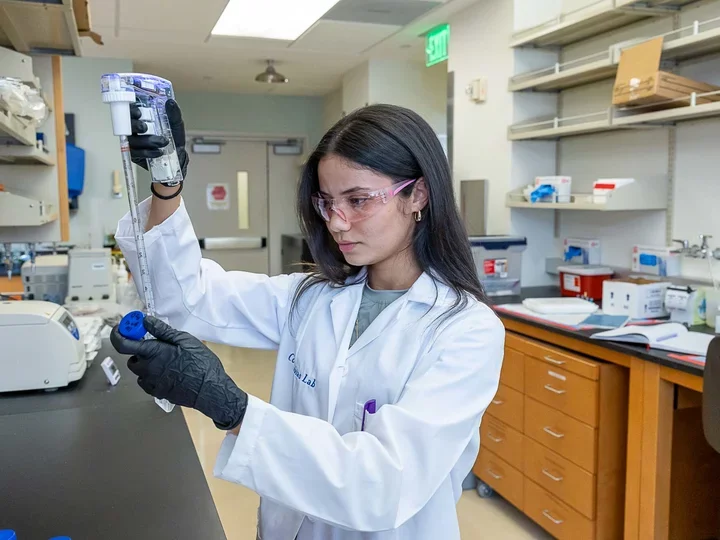 MIMG Lab